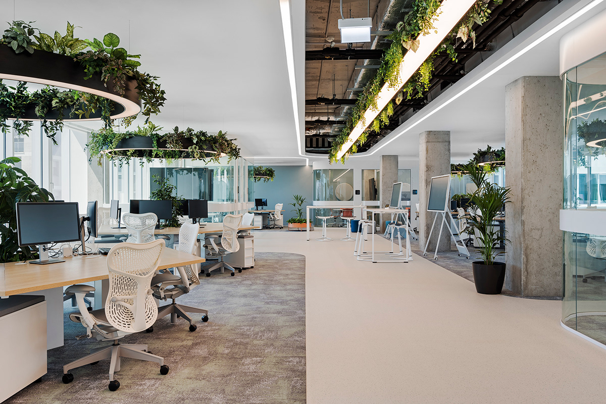 Thiết kế nội thất văn phòng theo phong cách Eco